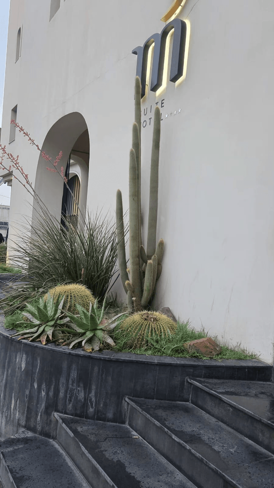 Monogramme TRIUMFA — entrée du studio.